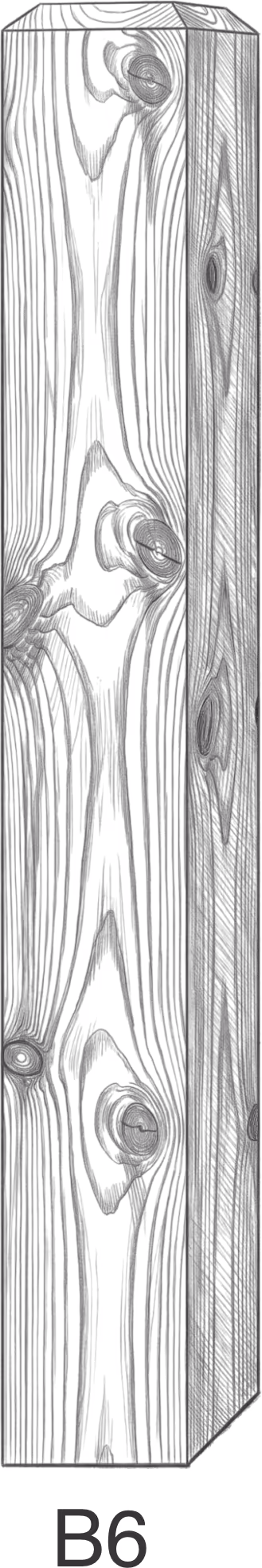 Wood texture pattern on a rectangular prism with knots and grain lines, labeled B6 below.