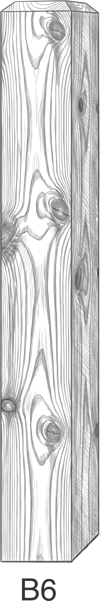 Wood texture pattern on a rectangular prism with knots and grain lines, labeled B6 below.