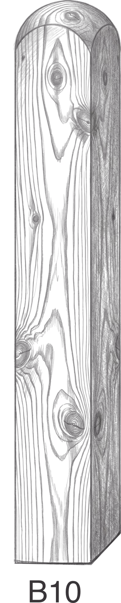 Black and white illustration of a wooden plank with visible grain and knots, labeled B10.