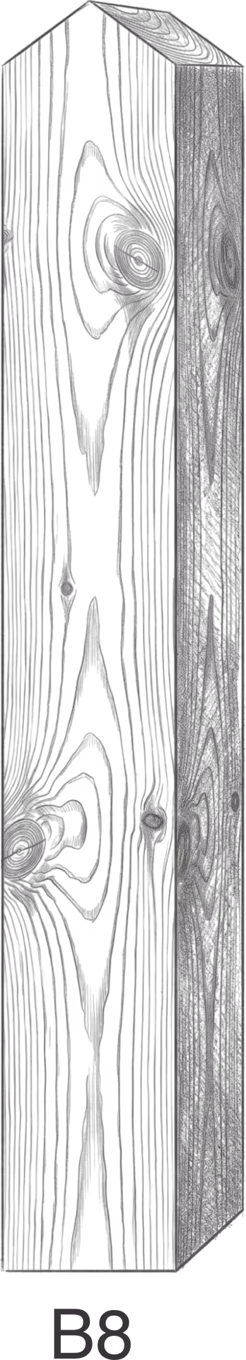Dark wooden beam with visible wood grain and knots, standing upright with the label B8 underneath.