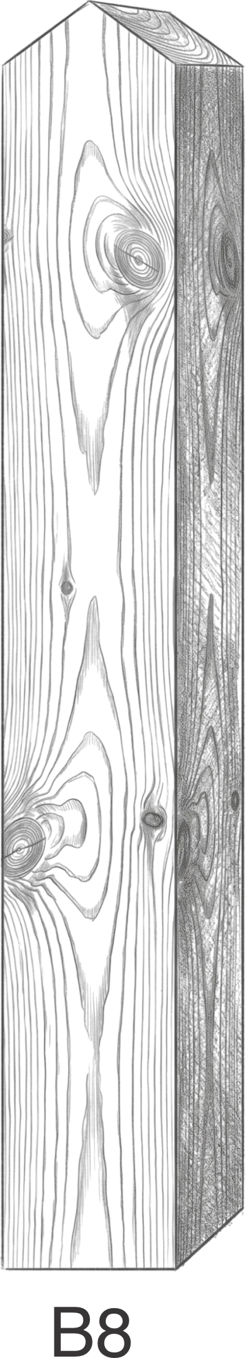 Dark wooden beam with visible wood grain and knots, standing upright with the label B8 underneath.