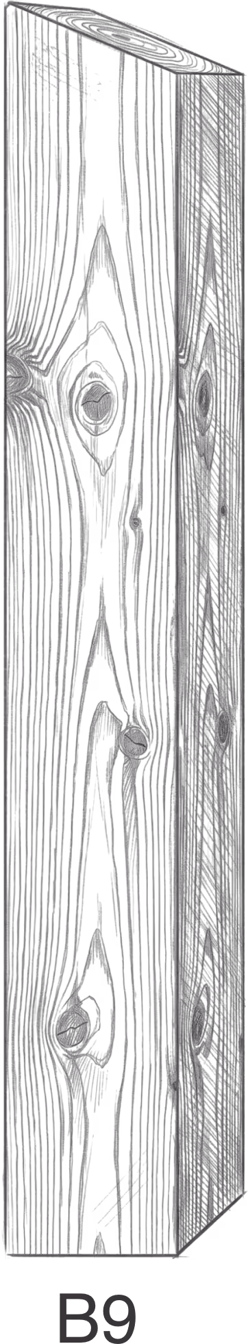 3D illustration of a wooden plank with visible grain and knots, labeled B9 below it.