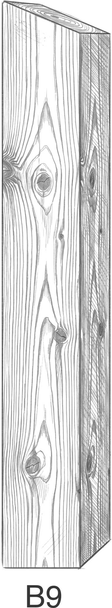 3D illustration of a wooden plank with visible grain and knots, labeled B9 below it.