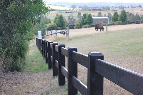Woody in white overalls painting a post & rail fence