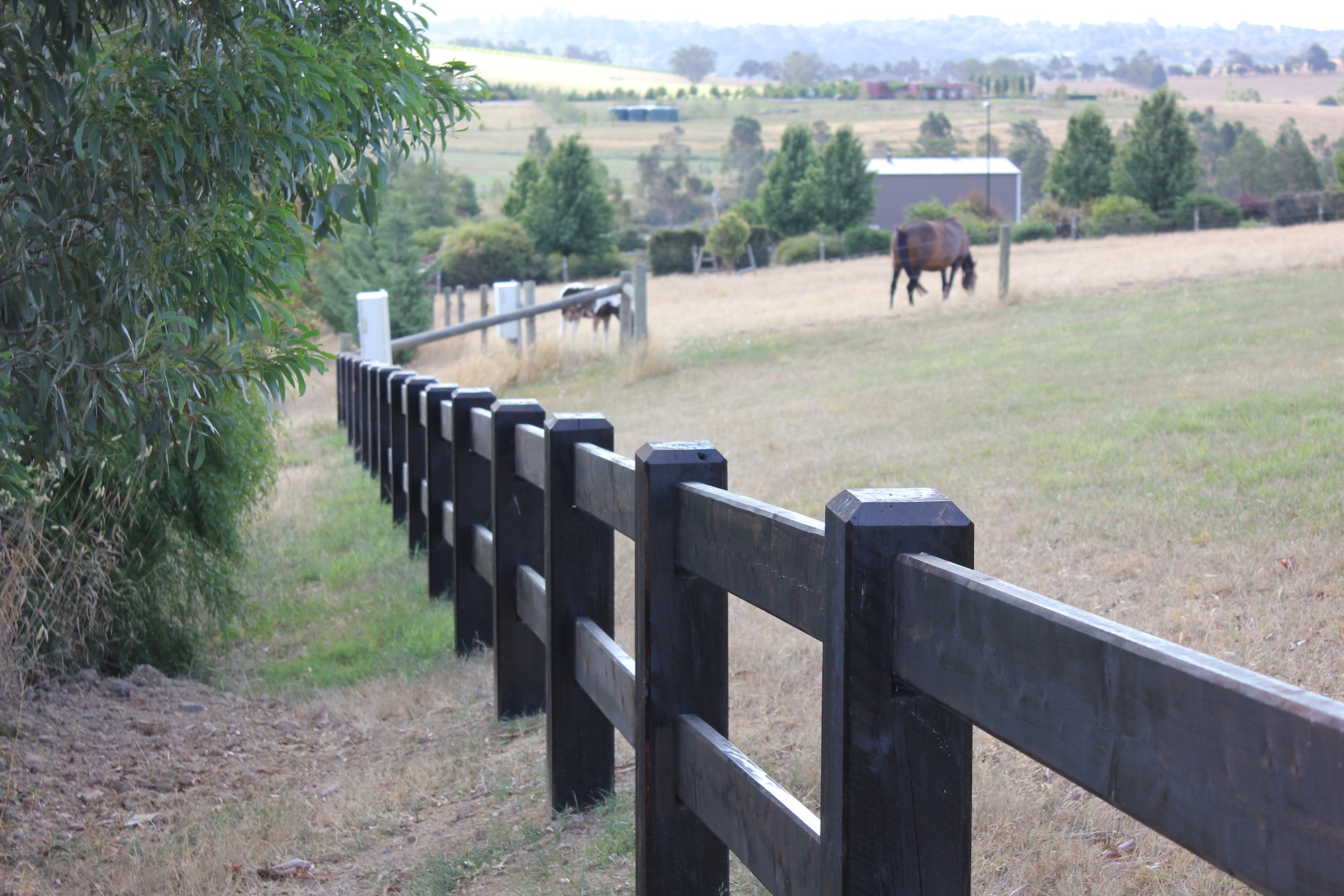 Woody in white overalls painting a post & rail fence 