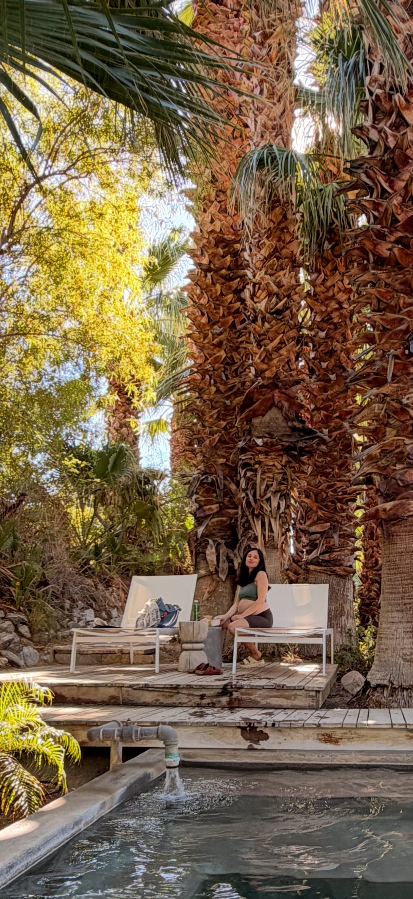 A woman resting beneath tall palms near the water