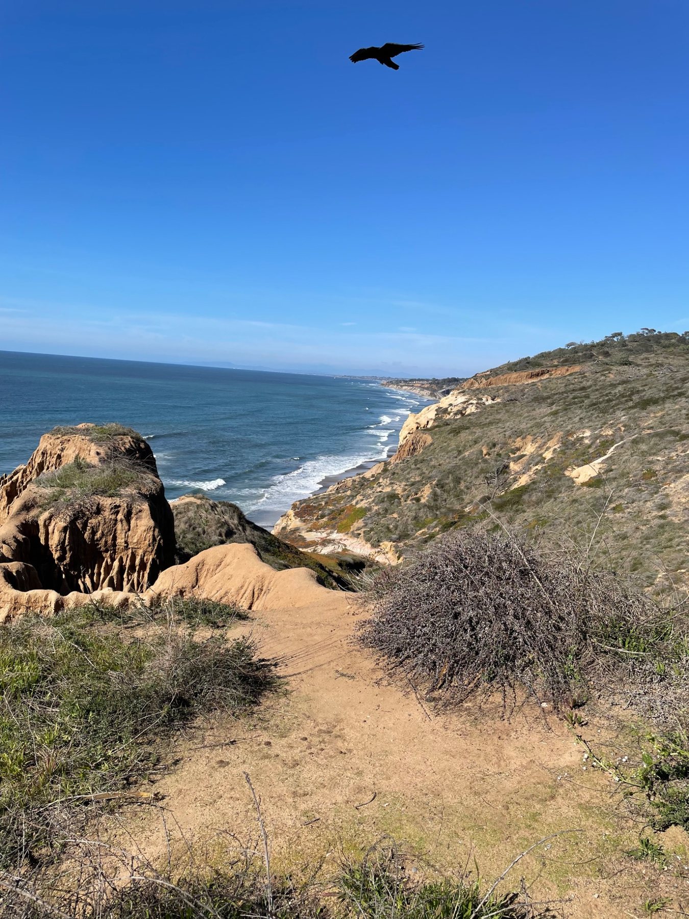 A coastal bluff path opening toward the ocean