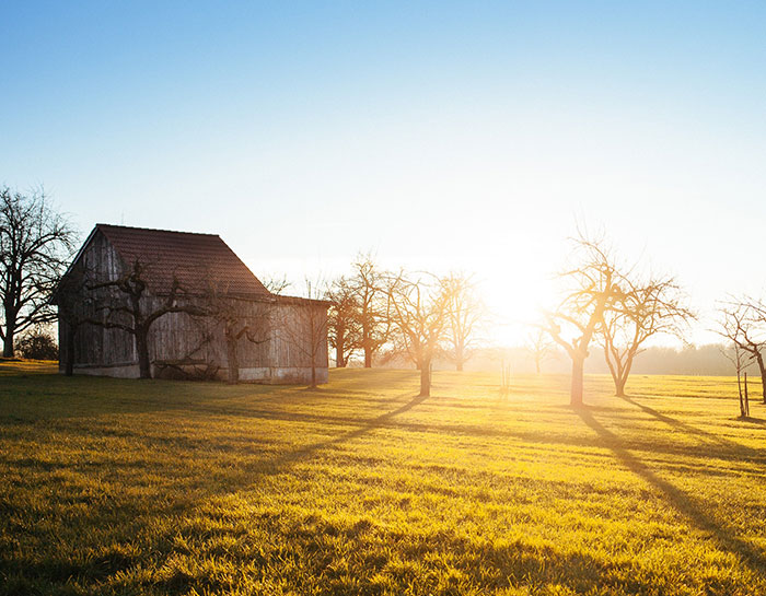 What You Should Know about Administering a Family Member's Estate