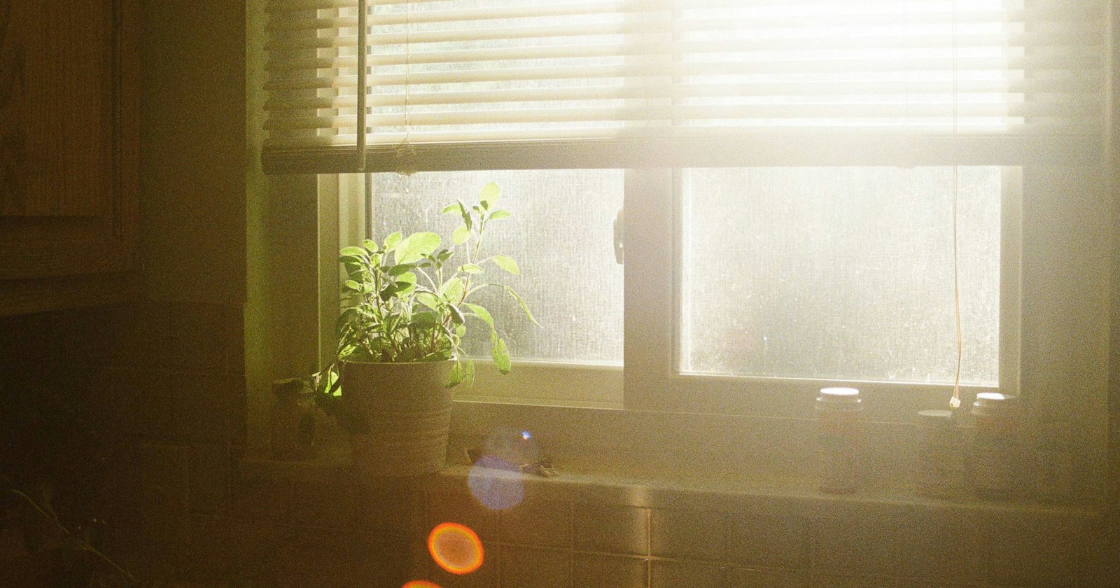 Estate Planning After a Spouse's Death