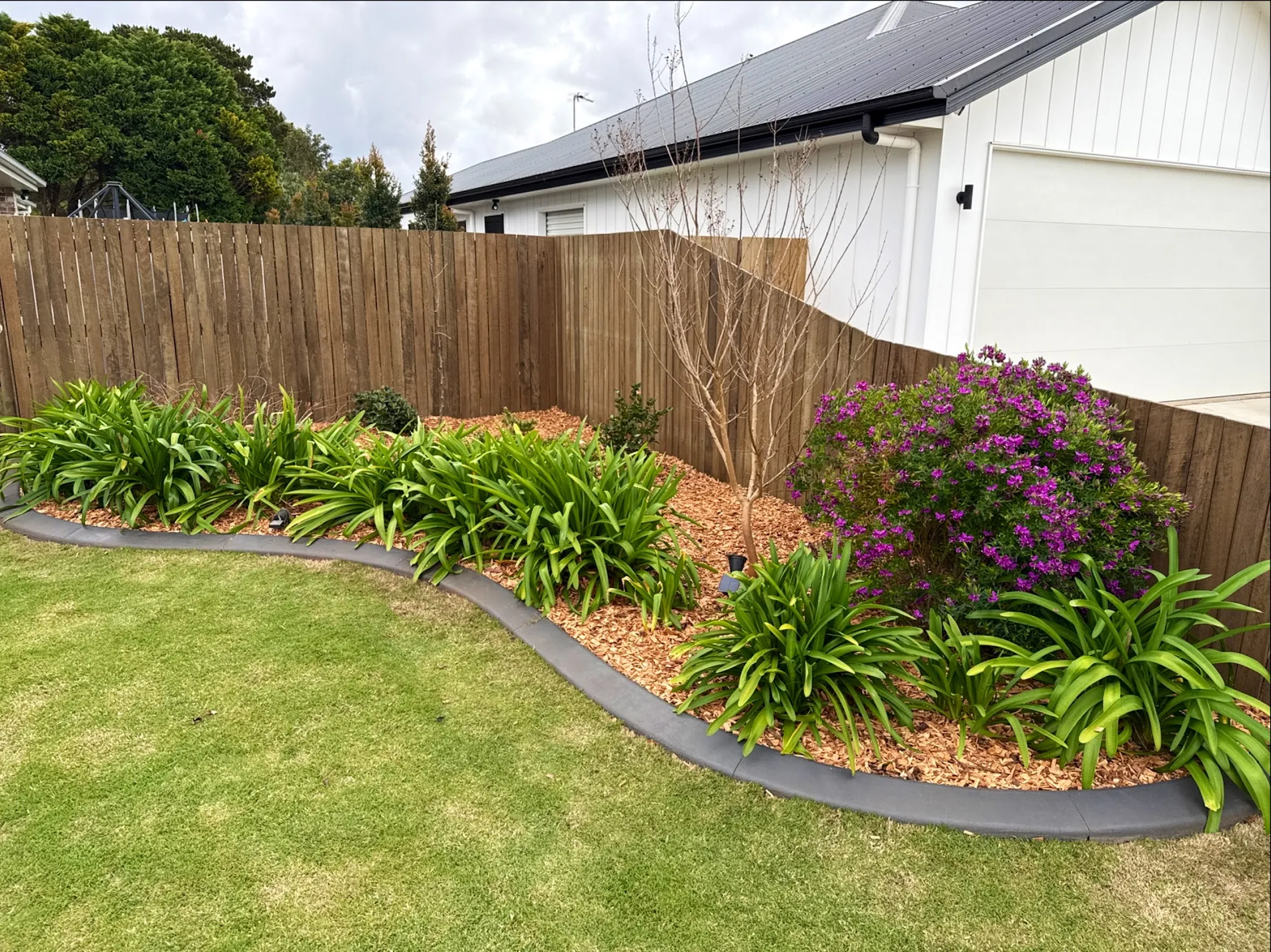 Freshly mowed lawn outside a home by TopLawn