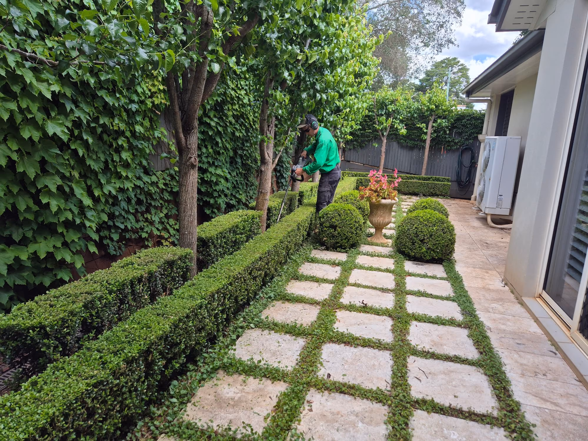 TopLawn job photo