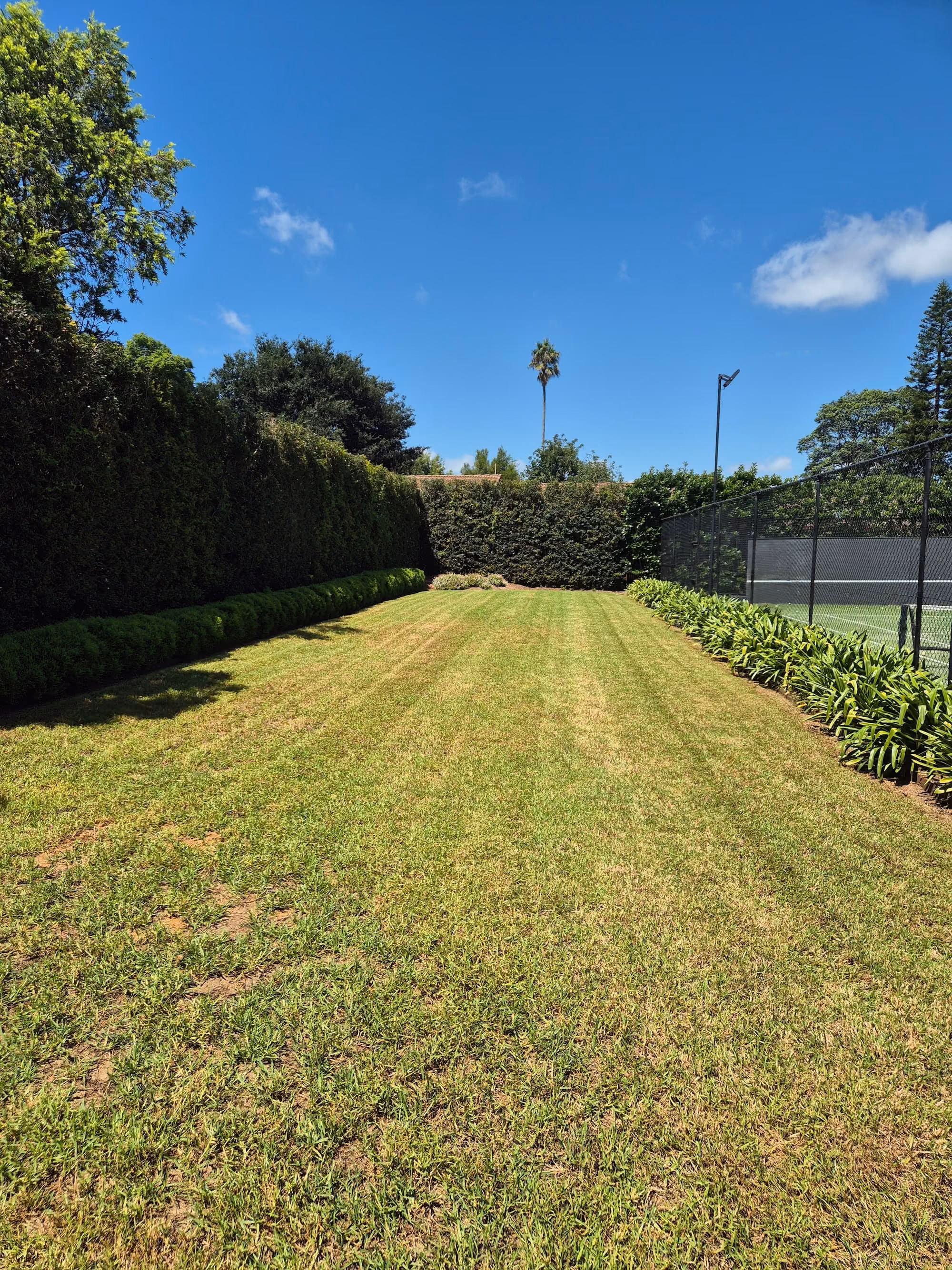 East Toowoomba lawn before renovation by TopLawn