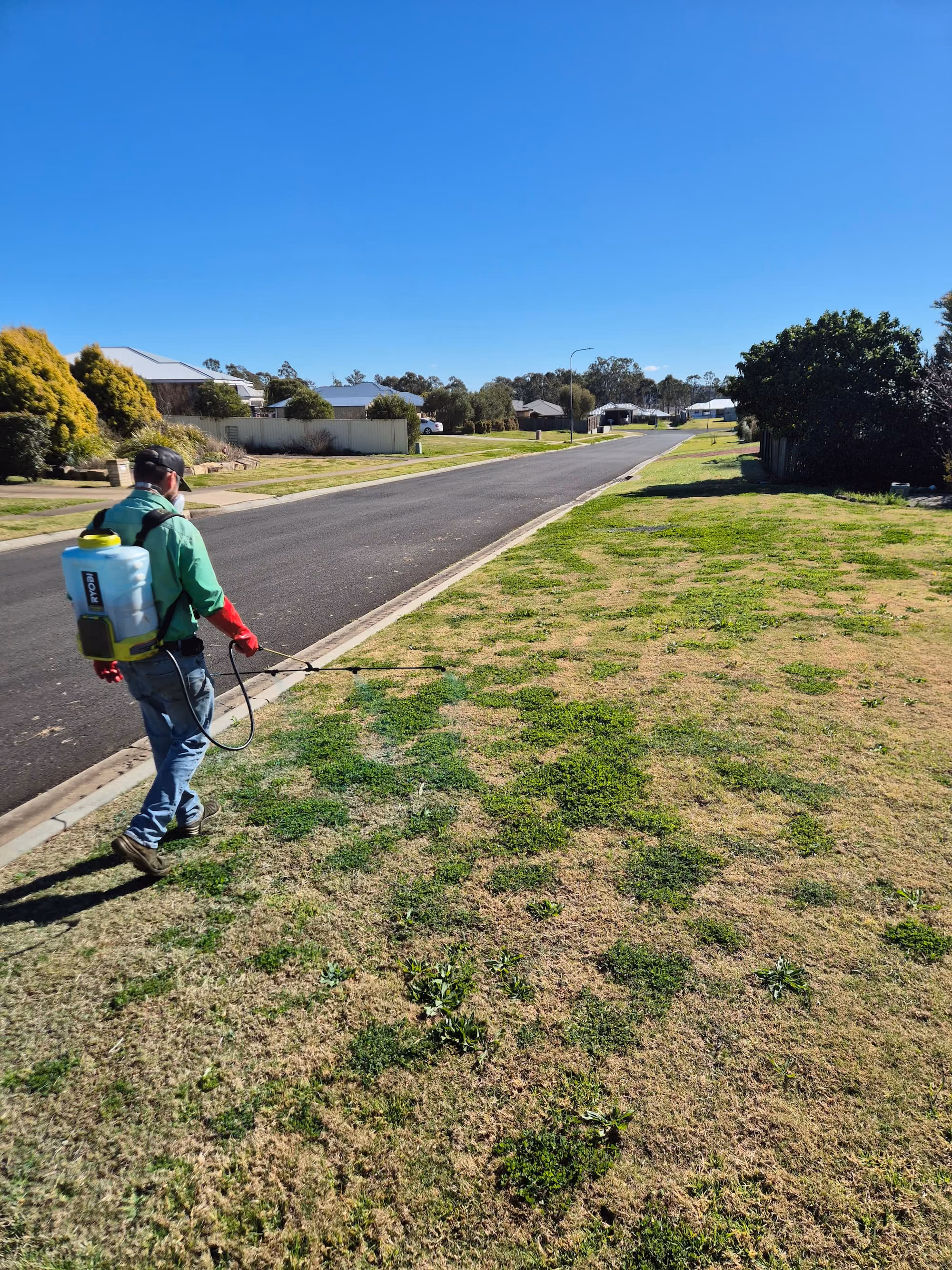 James from TopLawn spraying clover and weeds on a lawn in Meringandan