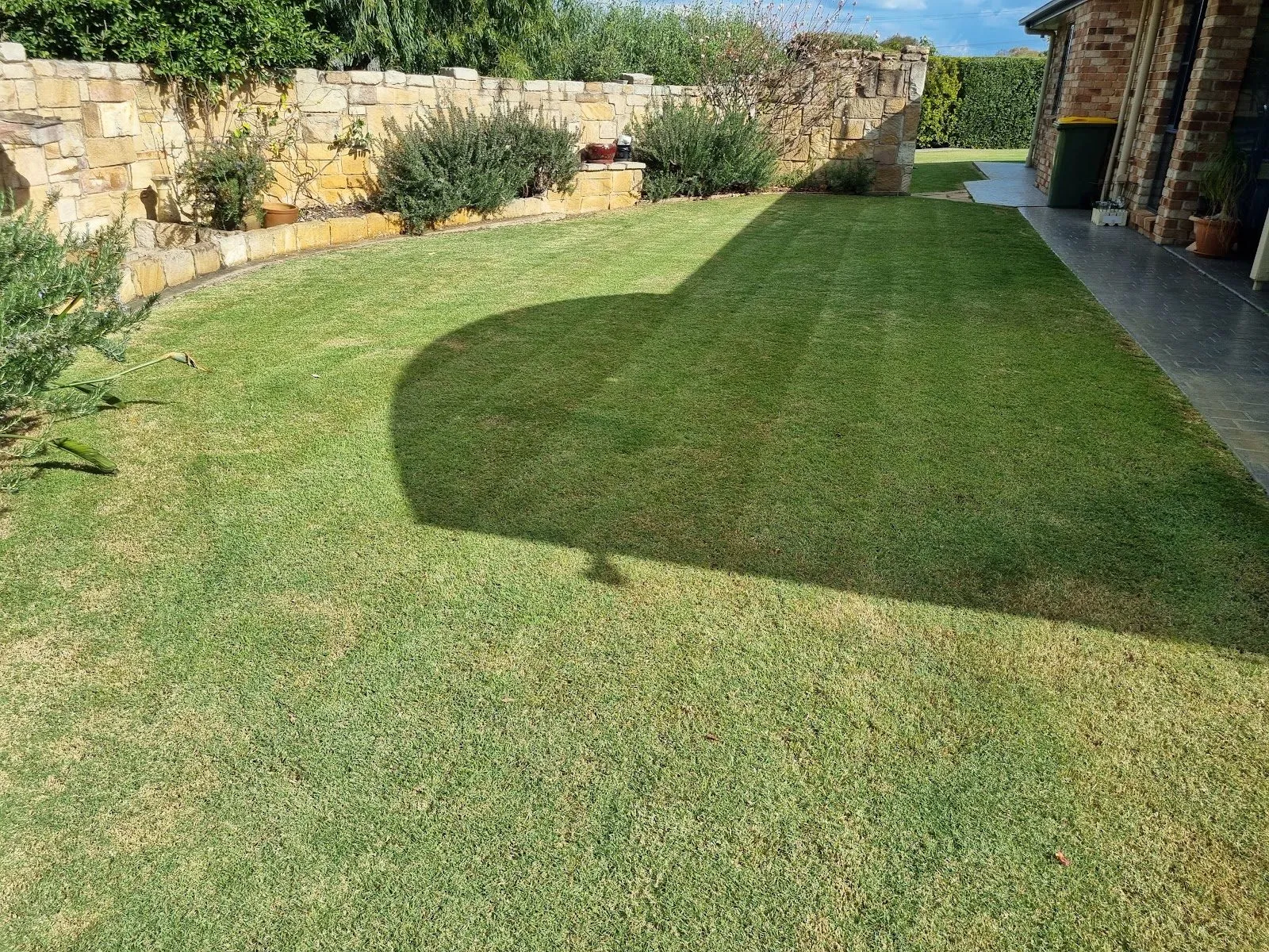 Mowing stripes on a lawn beside a sandstone retaining wall