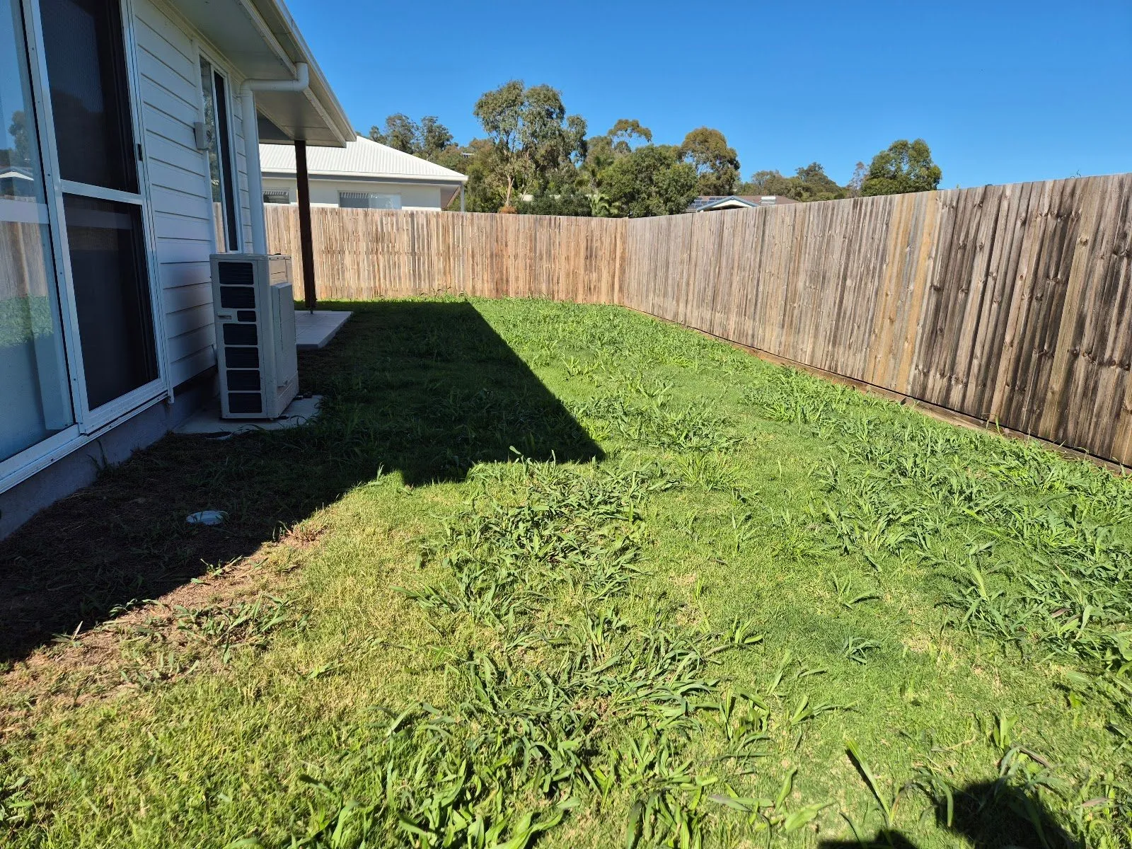 Overgrown, weedy side yard beside a new house before a TopLawn mow