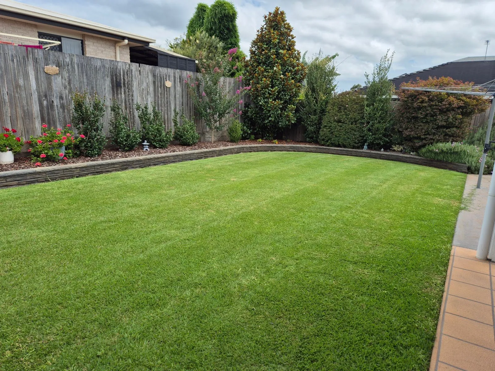 Freshly mowed backyard lawn with even stripes beside a garden bed and timber fence