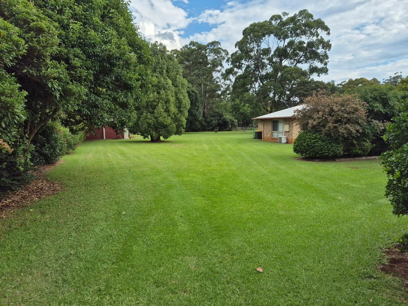 Large mowed lawn running back to established trees on an acreage block