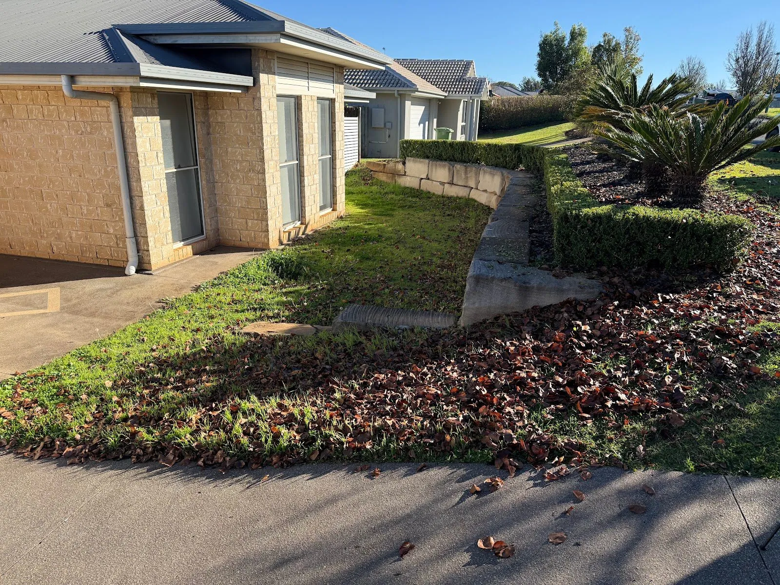 Front lawn and sloping bank covered in fallen leaves before a TopLawn mow and clean-up