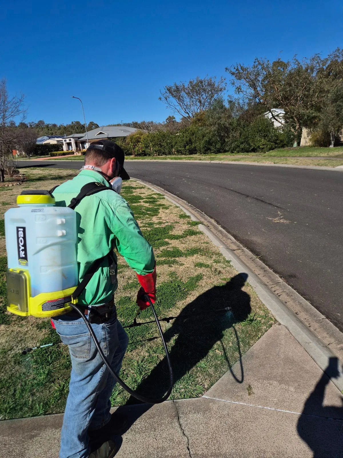 TopLawn crew member spot-spraying weeds on a nature strip with a backpack sprayer