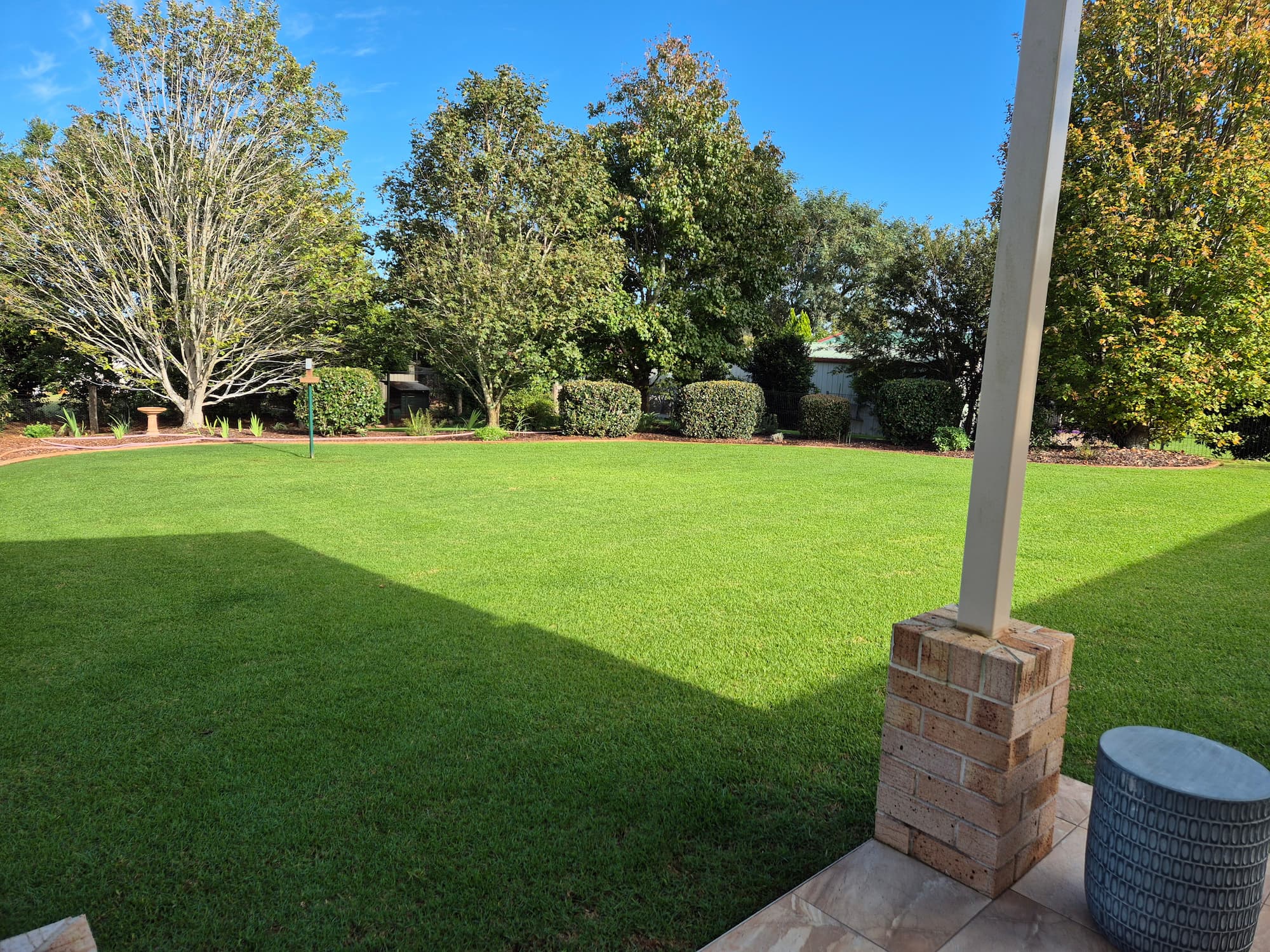 Why won't part of my Toowoomba lawn soak up water?