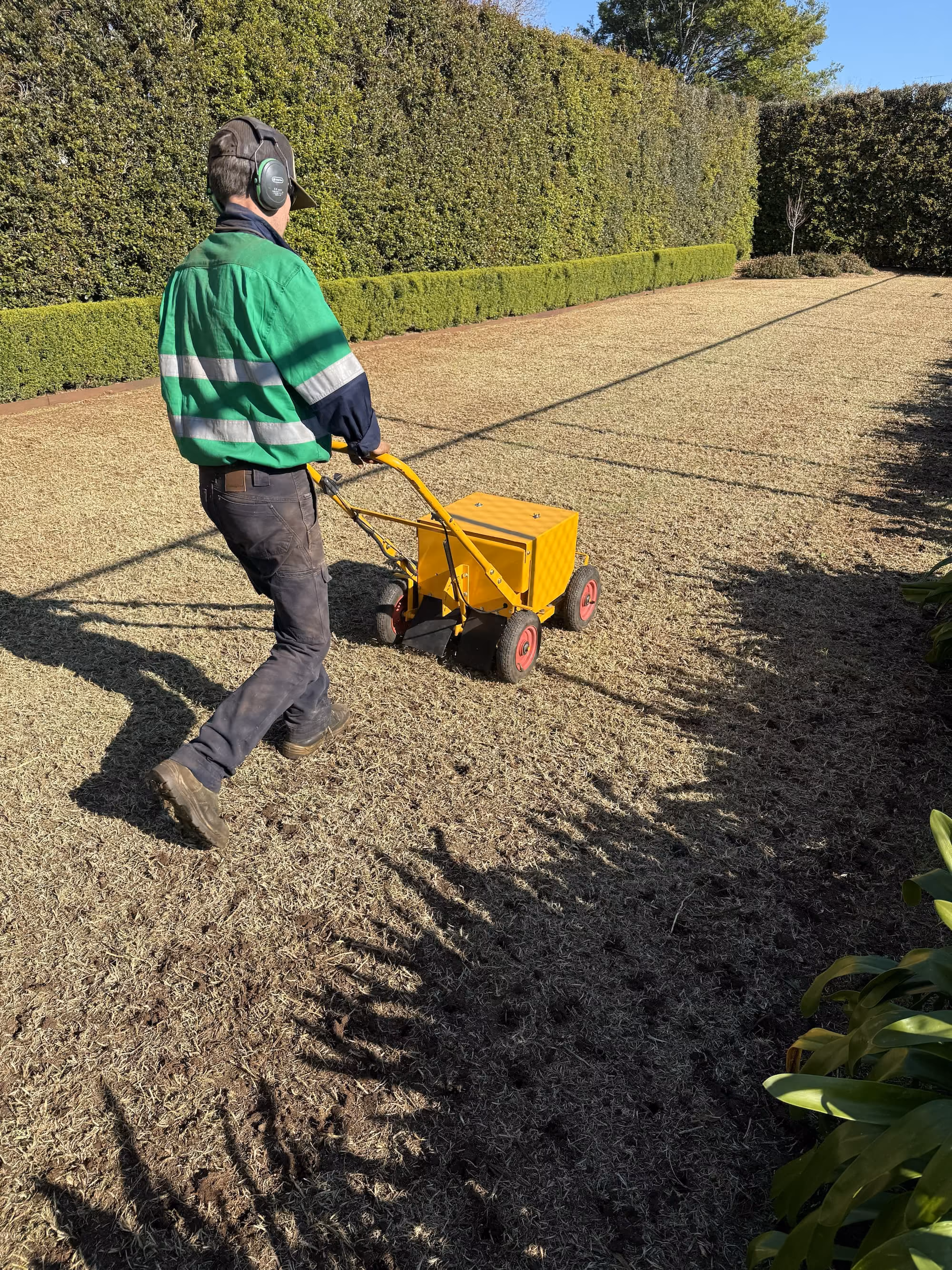 Spring lawn recovery in Toowoomba: what to do, and in what order