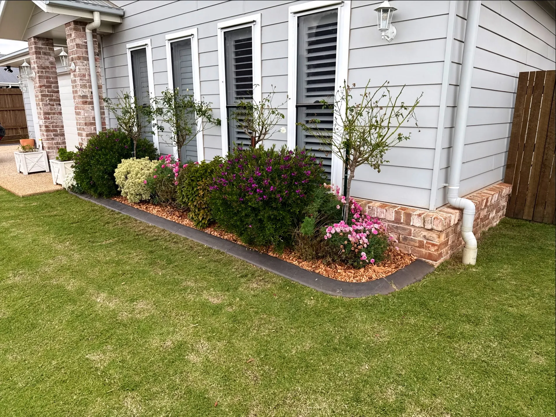 How short should you mow your lawn in Toowoomba?