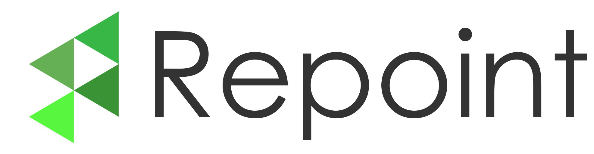 Repoint