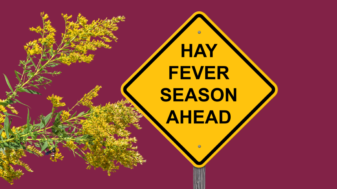 Hayfever meds: what you need to know (without falling asleep halfway through)