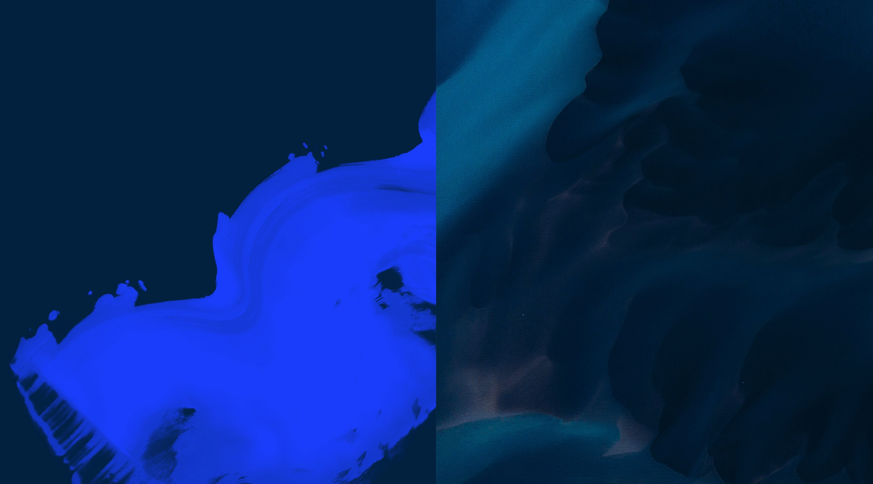 inisghts