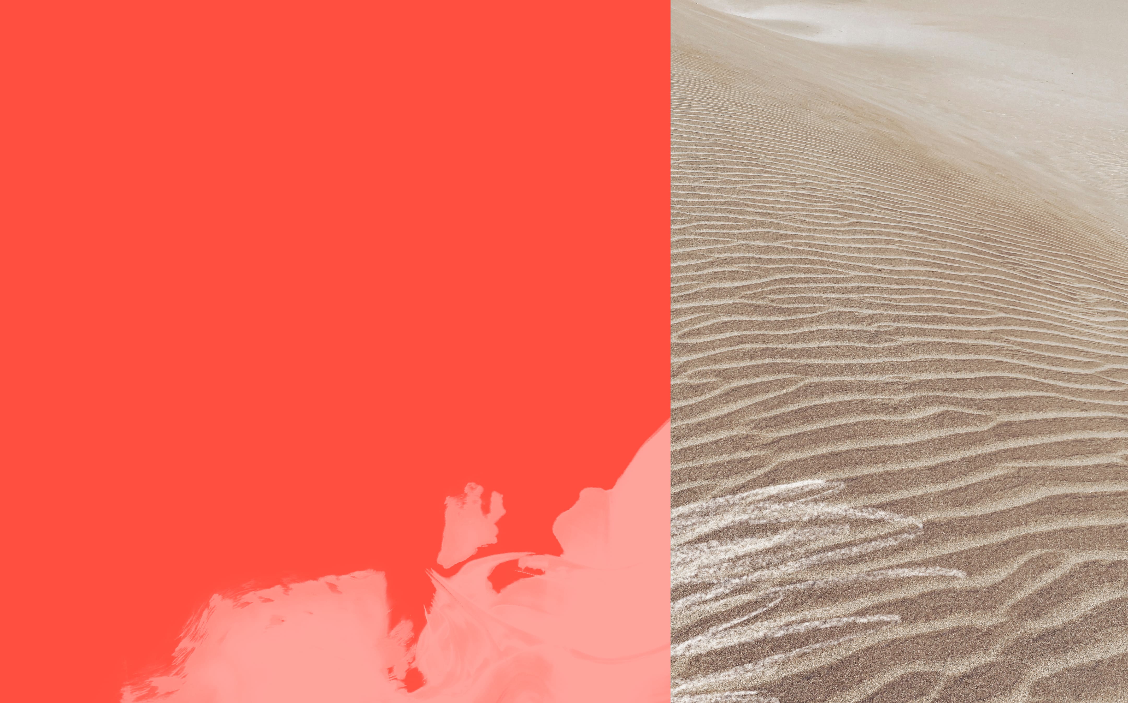 Ripples pattern in beige sand on a desert dune under soft light.