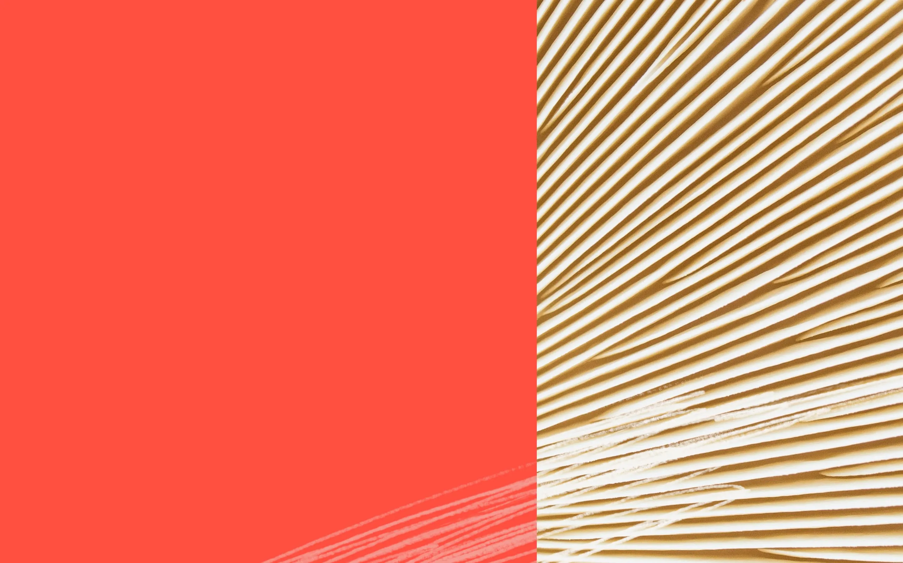 Close-up of fanned book pages with a red block on the left side.