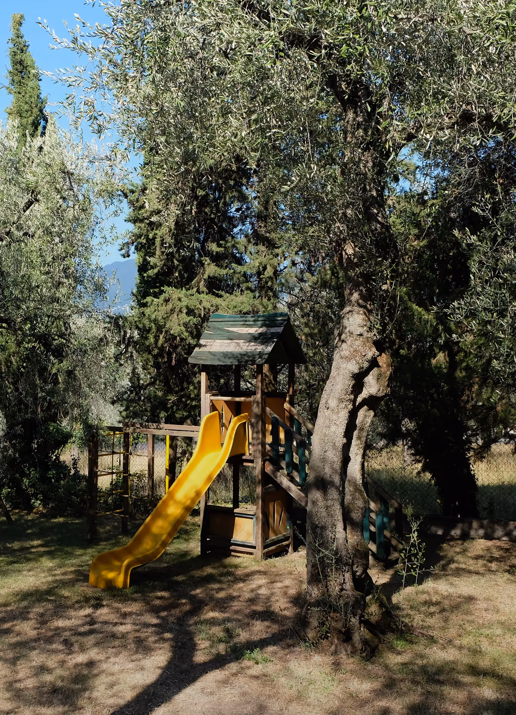 Yellow slide attached to wooden playground set surrounded by trees in a grassy area.