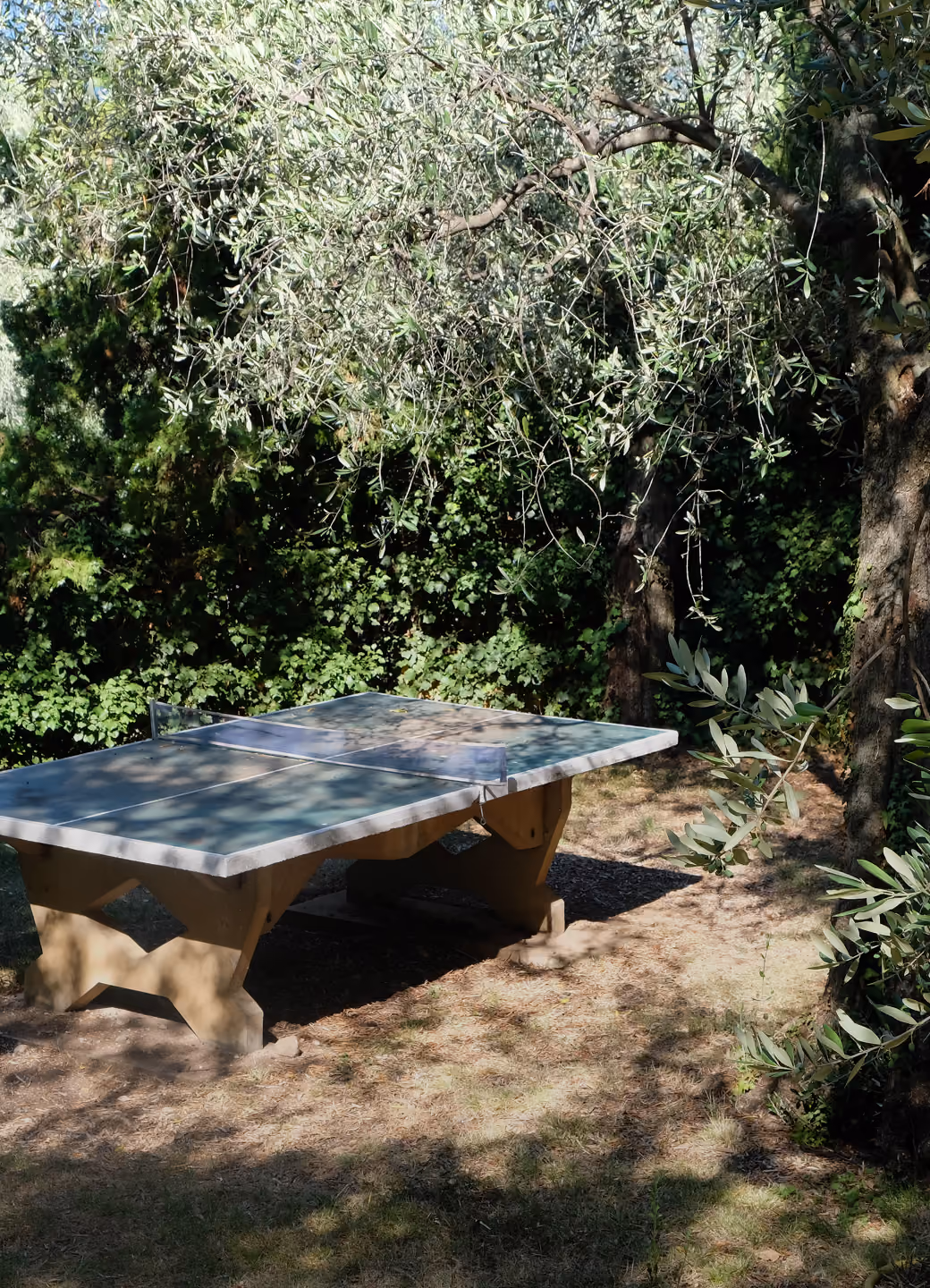 Outdoor table tennis table under trees with dry grass and leafy bushes around.