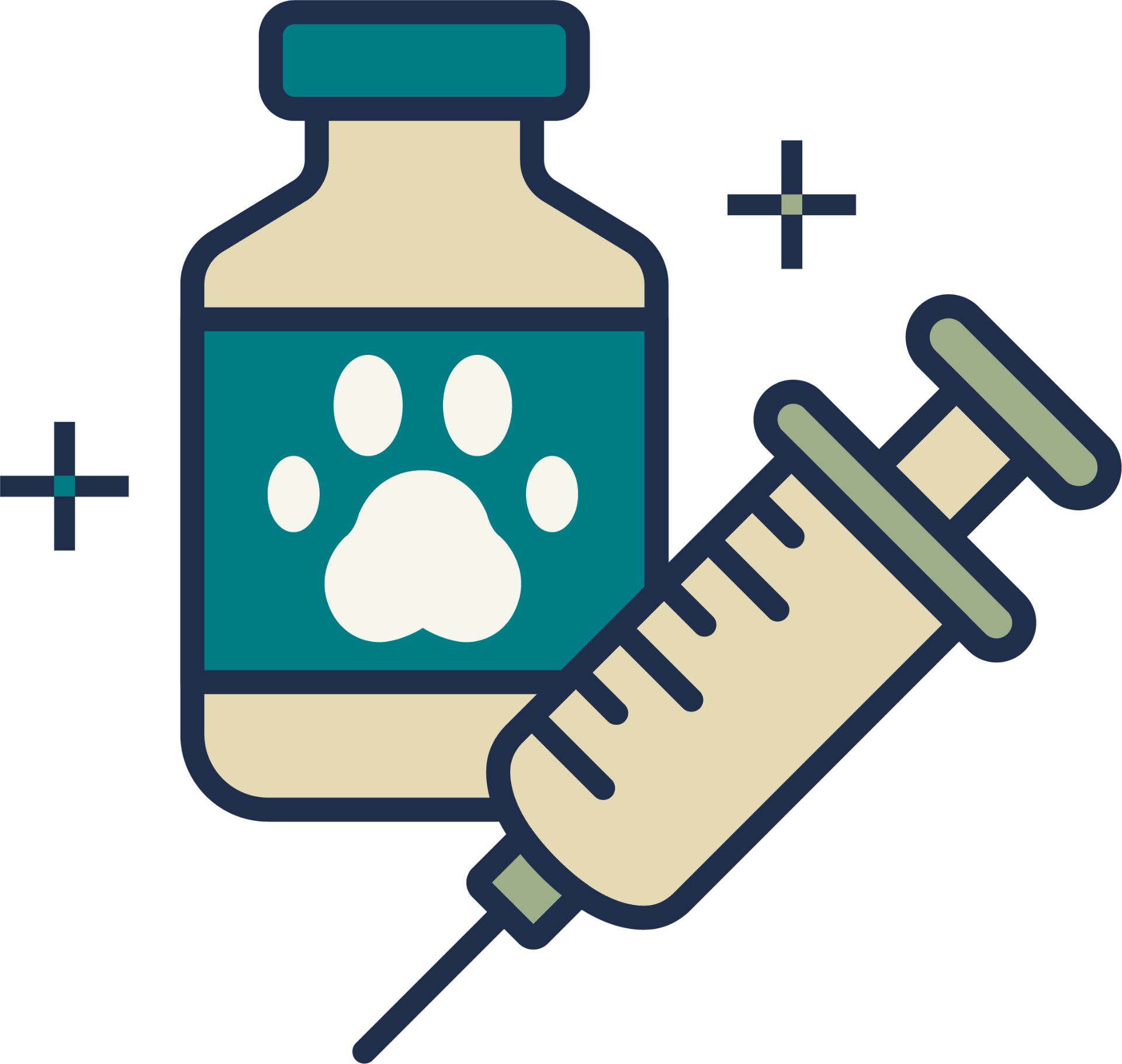 Vaccinations illustration