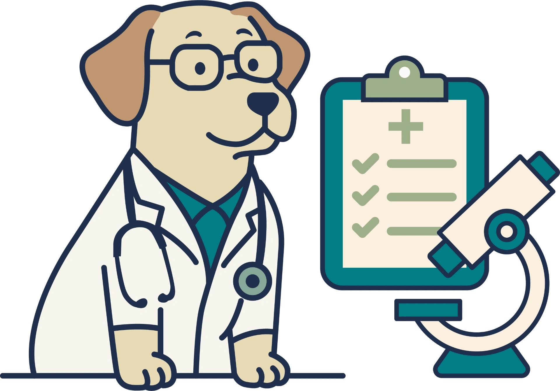Internal medicine specialty services illustration