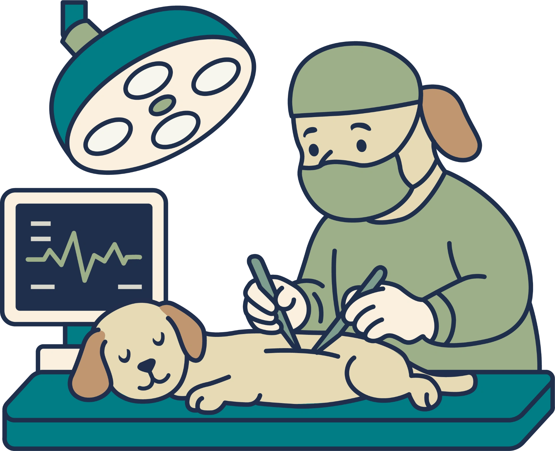 Advanced surgical services illustration