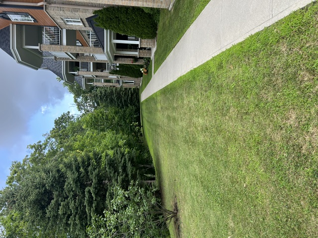 Grass cutting example - neat mowed lawn along building walkway