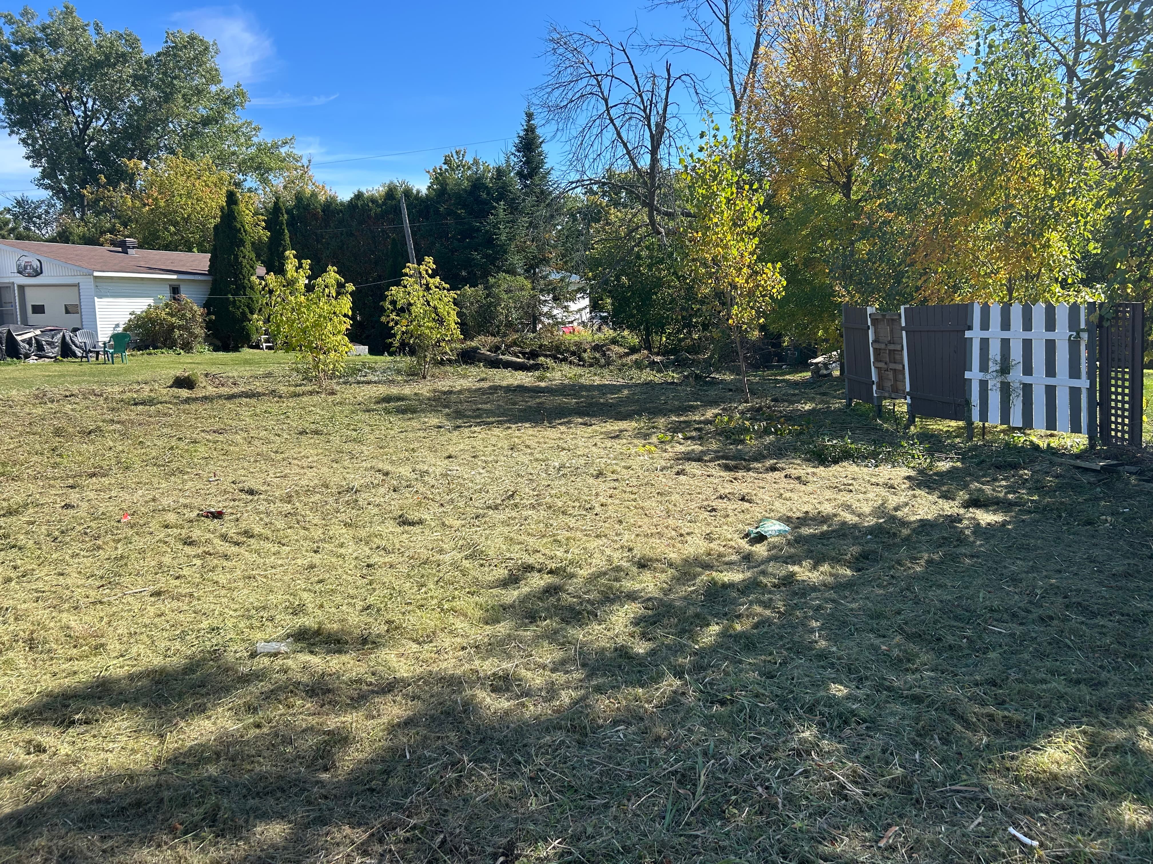 Mulching example - fresh dark mulch installed along garden border