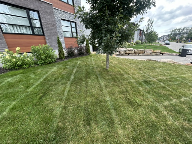 Grass Cutting Job Photo Slot