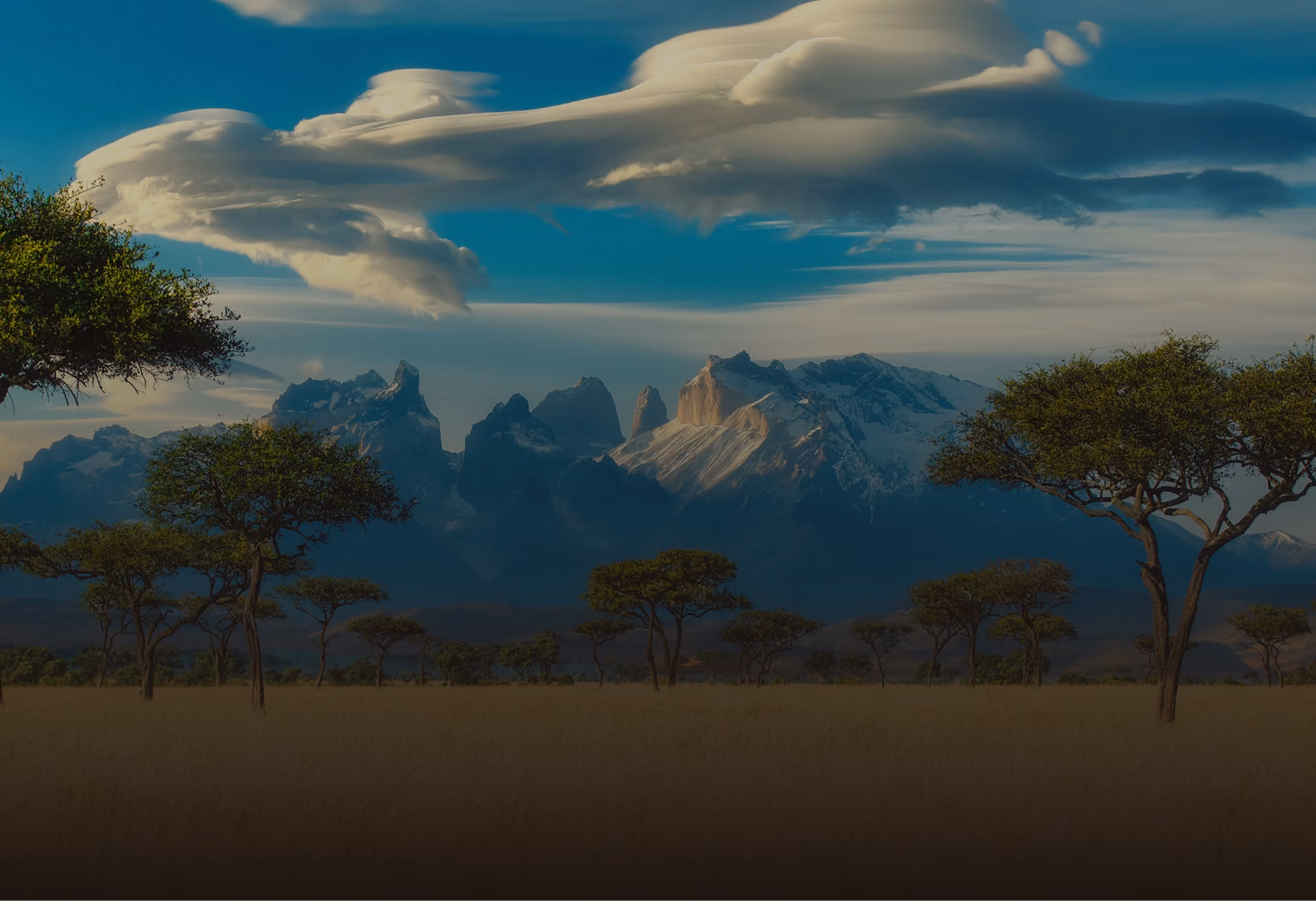 Savannah with scattered acacia trees and snow-capped mountains under dramatic cloudy sky.