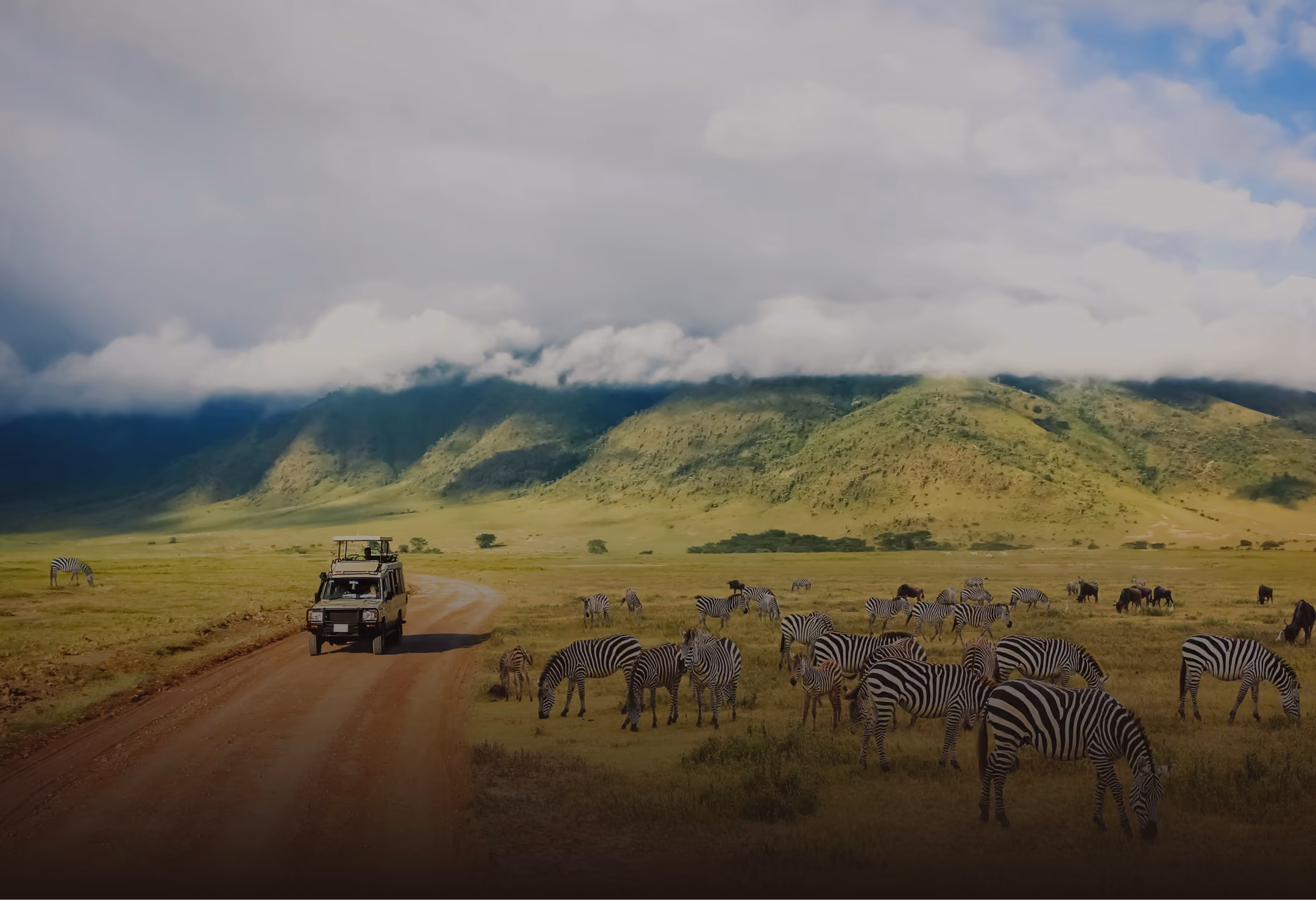 Safari vehicle driving on dirt road near grazing zebras with green hills and cloudy sky in background.