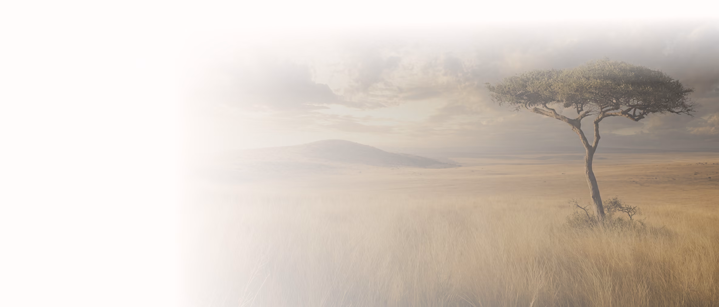 Lone acacia tree in vast dry grassland under cloudy sky with distant hills in background.
