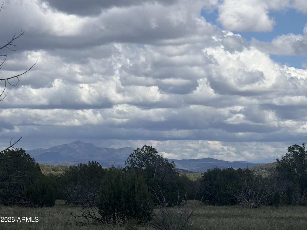 ash-fork-135000 photo 3