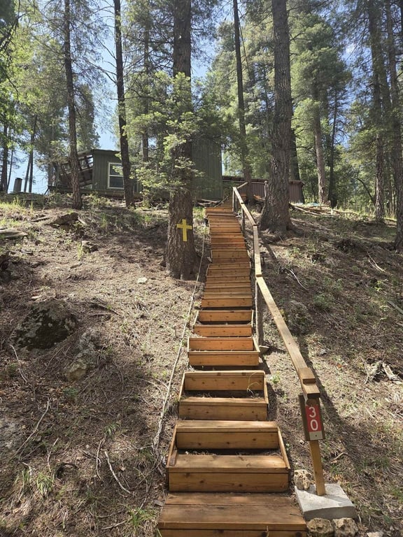 590 Sq Ft Treehouse-Style Cabin Bordering National Forest — $79,500