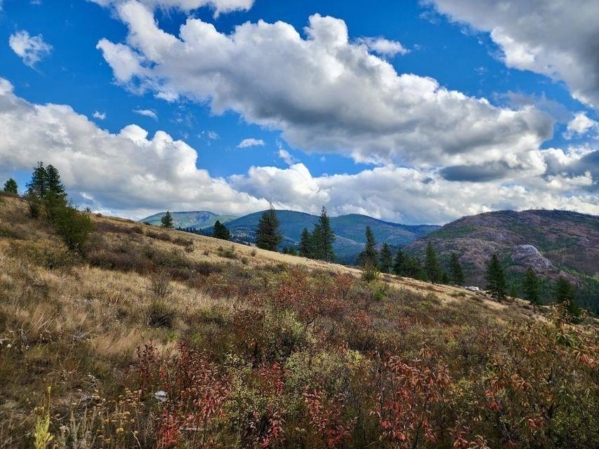 140-lambert-mountain-rd-republic-wa photo 3