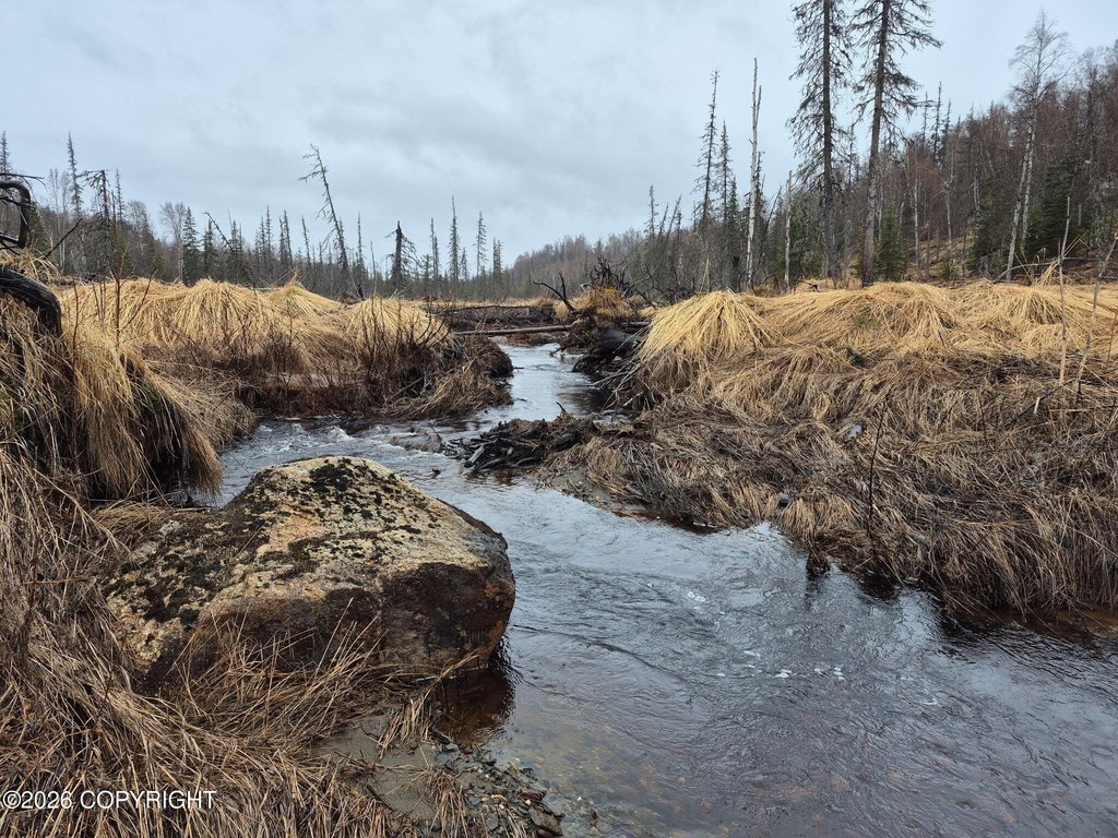 asls-91-040-trapper-creek-ak photo 3
