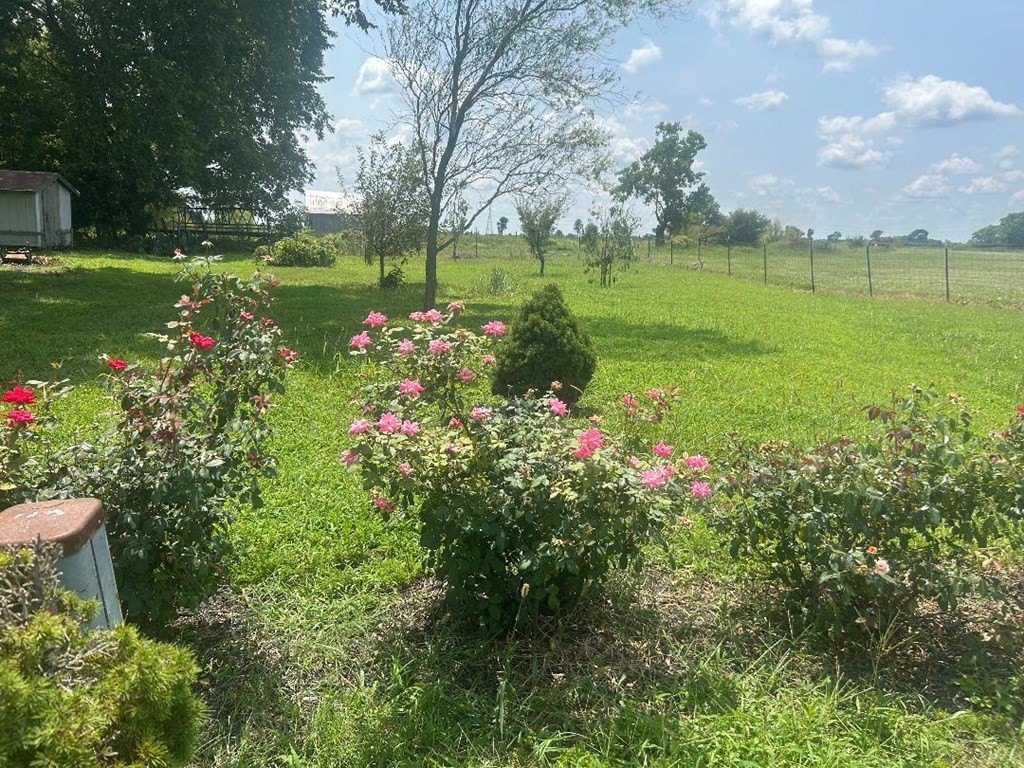 1571-e-highway-312-blytheville-ar photo 4