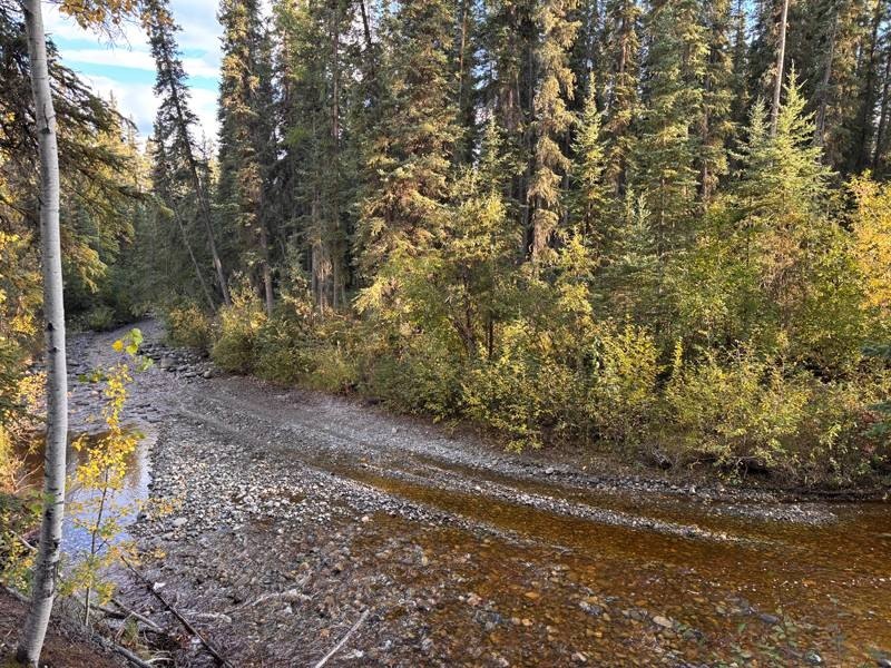 Bear Creek Frontage, Fresh Water Spring, and a 400 Sq Ft Cabin Near Denali — $128,000