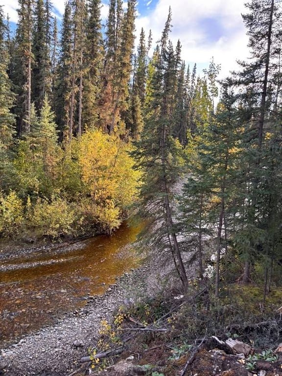 79166-jackson-rd-healy-ak photo 3