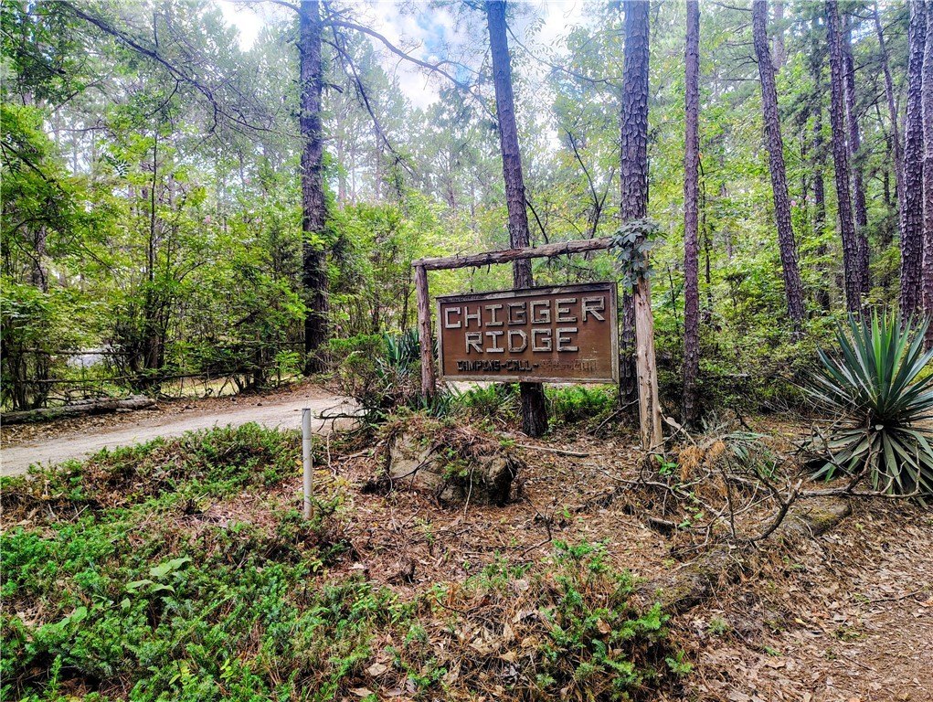109-briar-thicket-ln-troy-sc photo 4